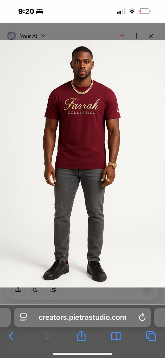 Farrah Collection Burgundy T-Shirt